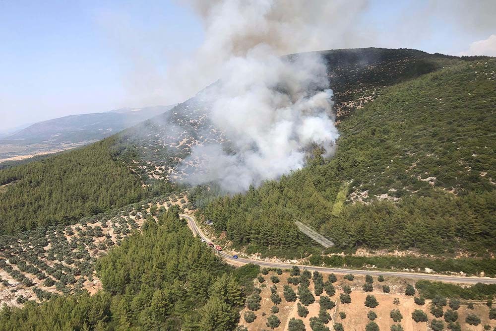 Milas'ta çıkan orman yangını