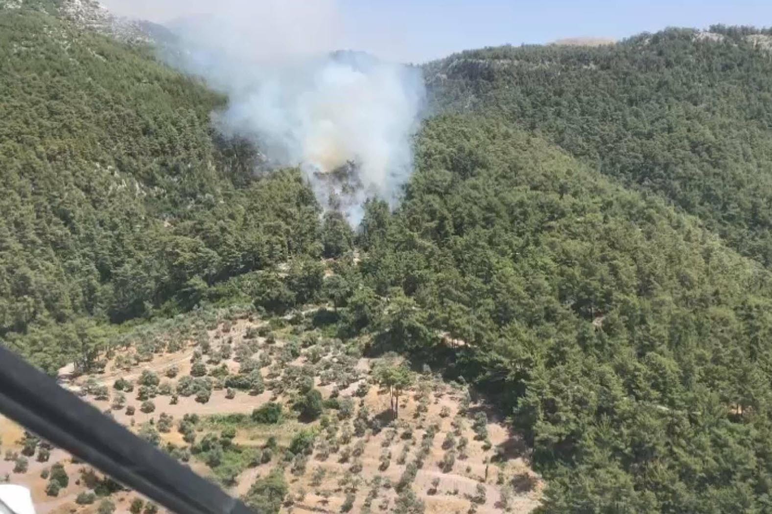 Muğla'da orman yangını