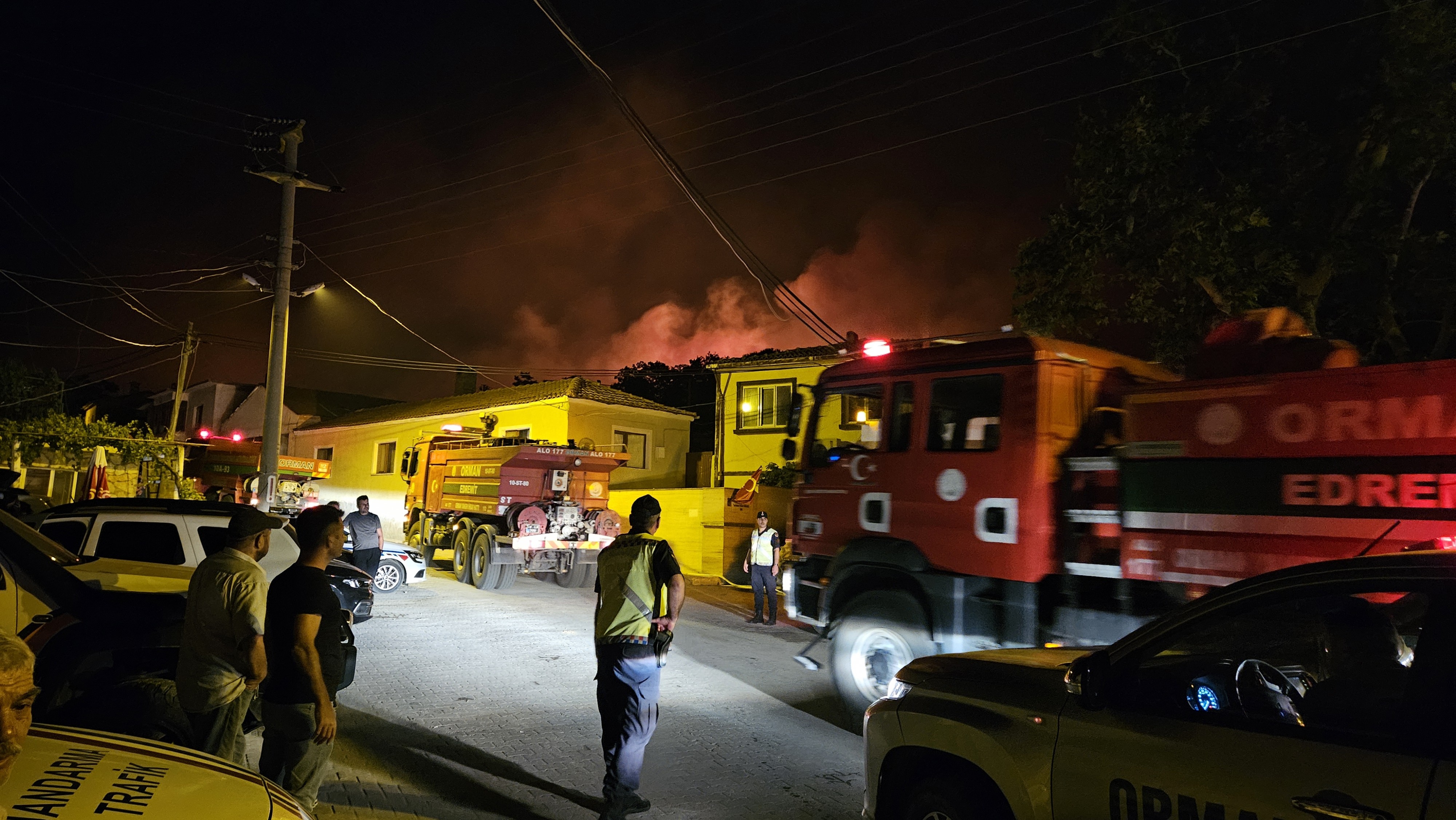 Çanakkale'de orman yangını