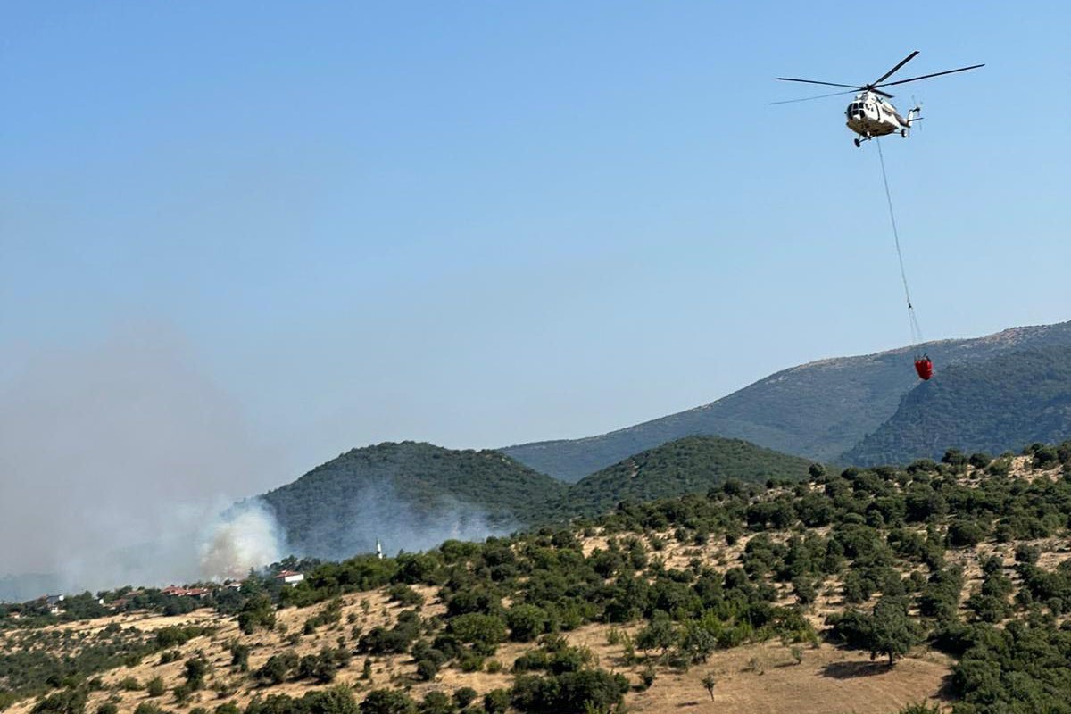 Balıkesir Kepsut'ta orman yangını