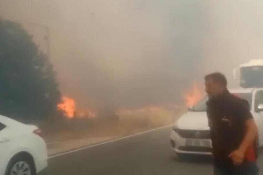 Tekirdağ'da ekili alan yangını