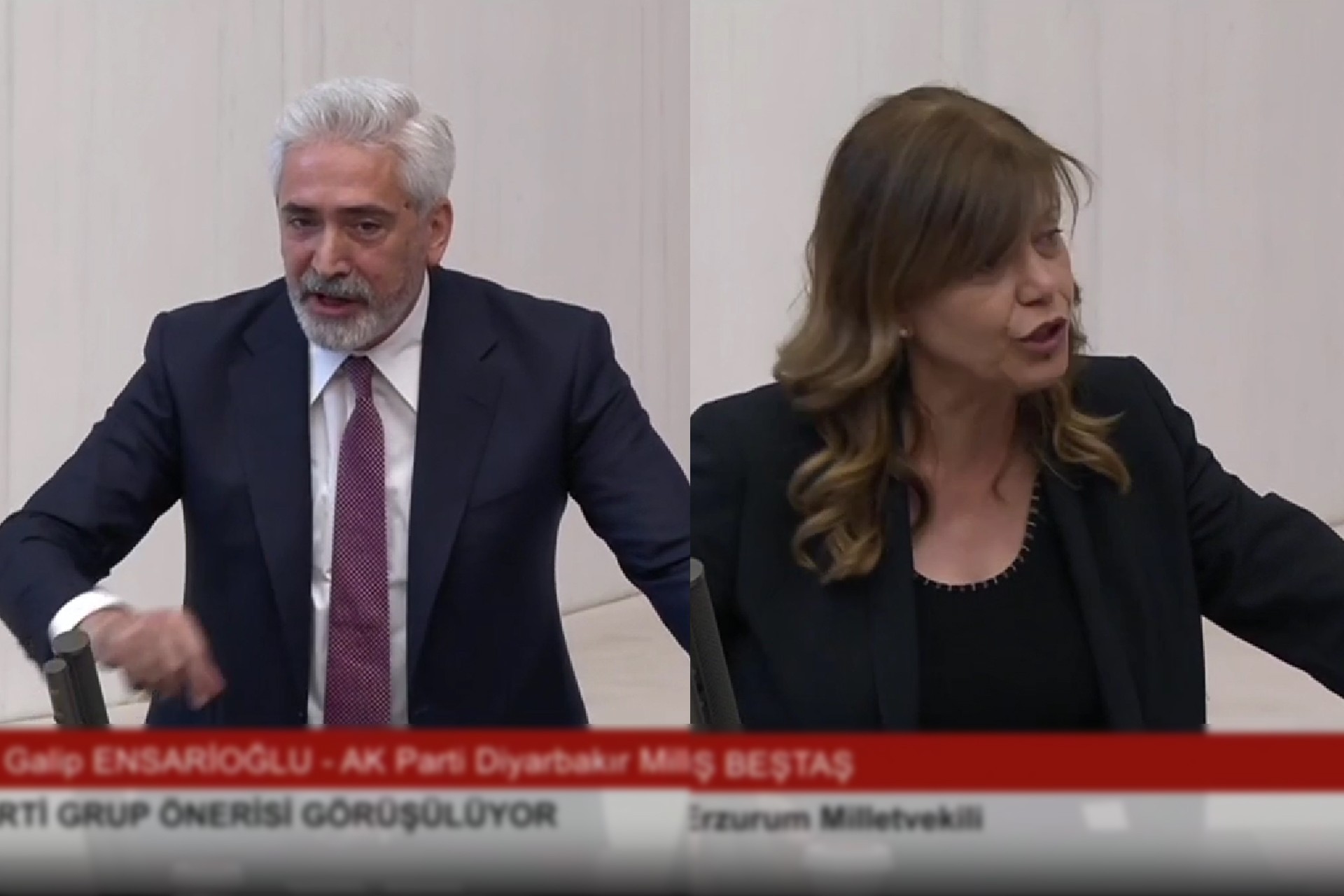 Galip Ensarioğlu ve Meral Danış Beştaş