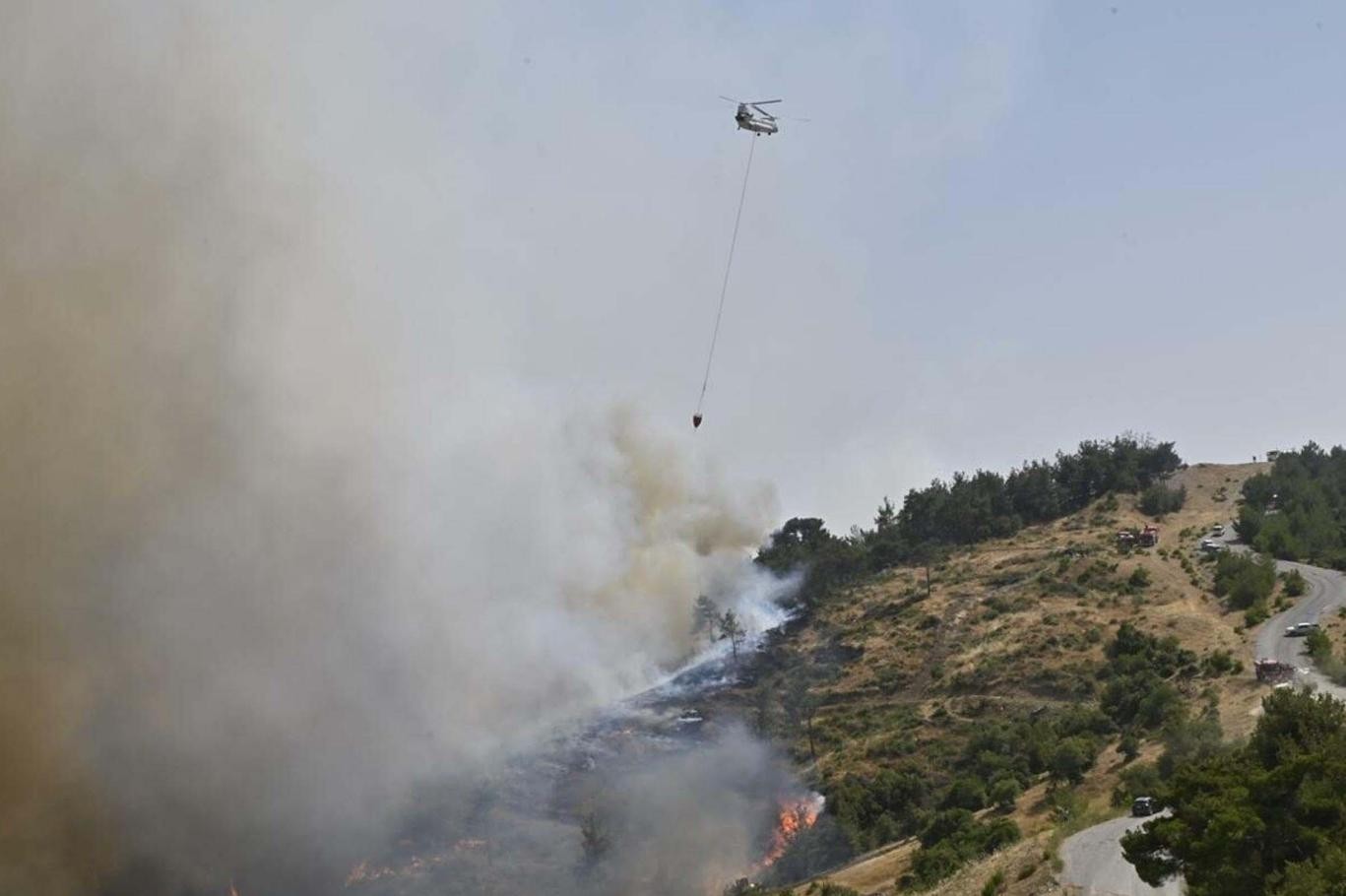 İzmir Bornova'da orman yangını