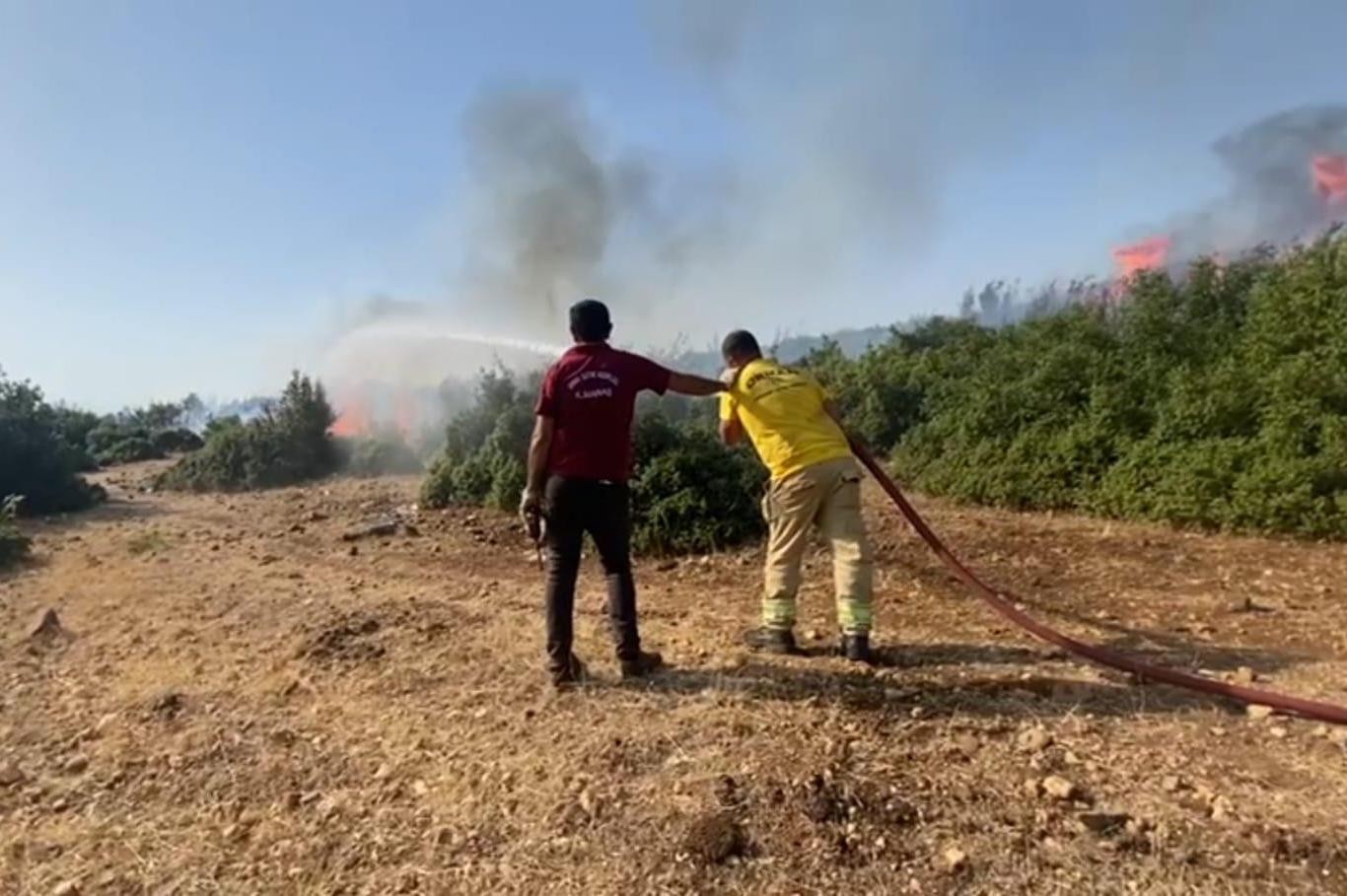 Maraş orman yangını