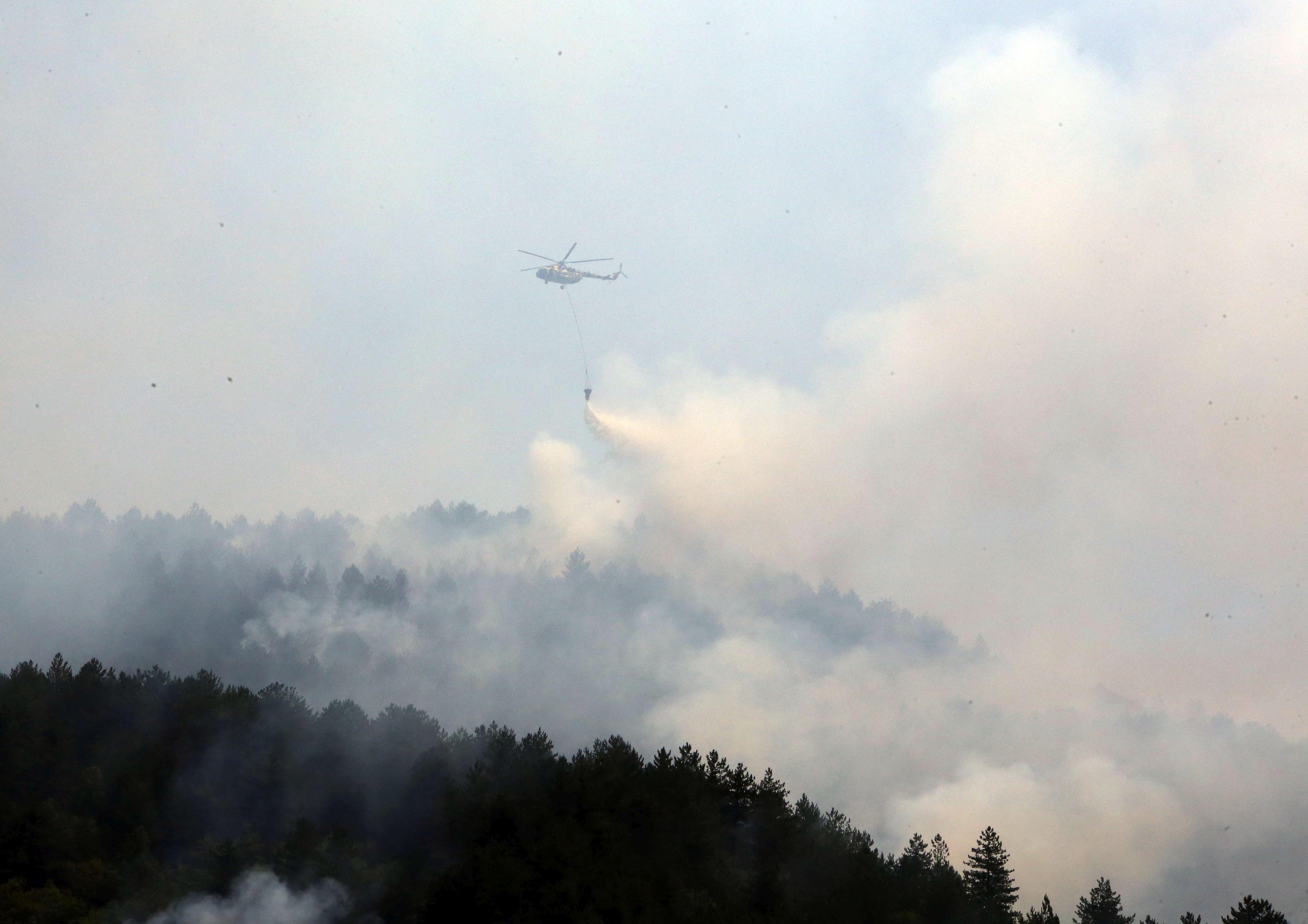 Kastamonu'da orman yangını