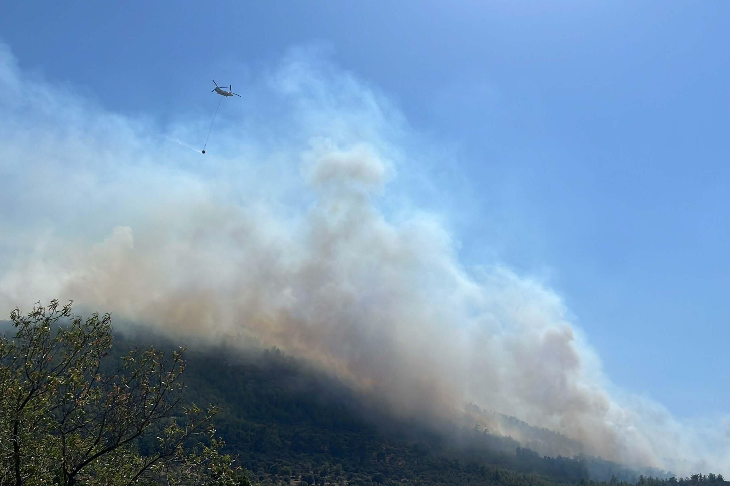 Muğla Bodrum'da orman yangını