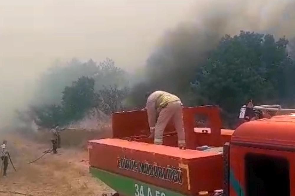 Edirne Lalapaşa'da orman yangını