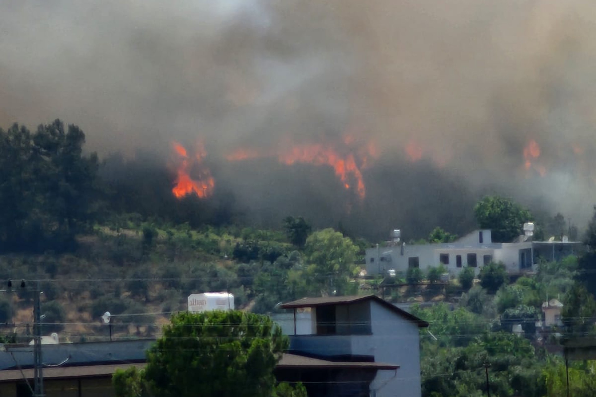 Hatay Arsuz'da orman yangını 