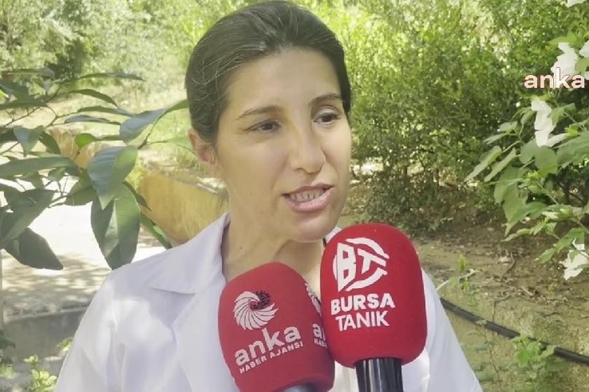 Türk Veteriner Hekimleri Birliği Merkez Konseyi Üyesi Melike Baysal