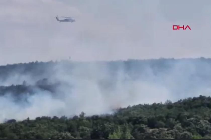 Bursa Orhaneli'de orman yangını