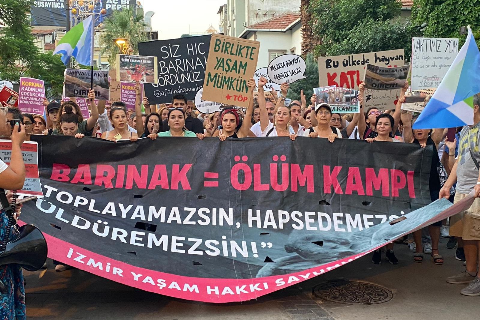 İzmir'de sokak hayvanları için düzenlenen yürüyüş.