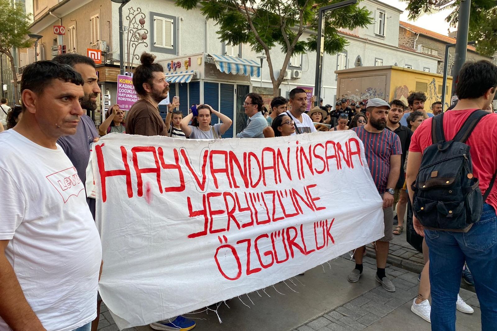 İzmir'de sokak hayvanları için düzenlenen yürüyüş.