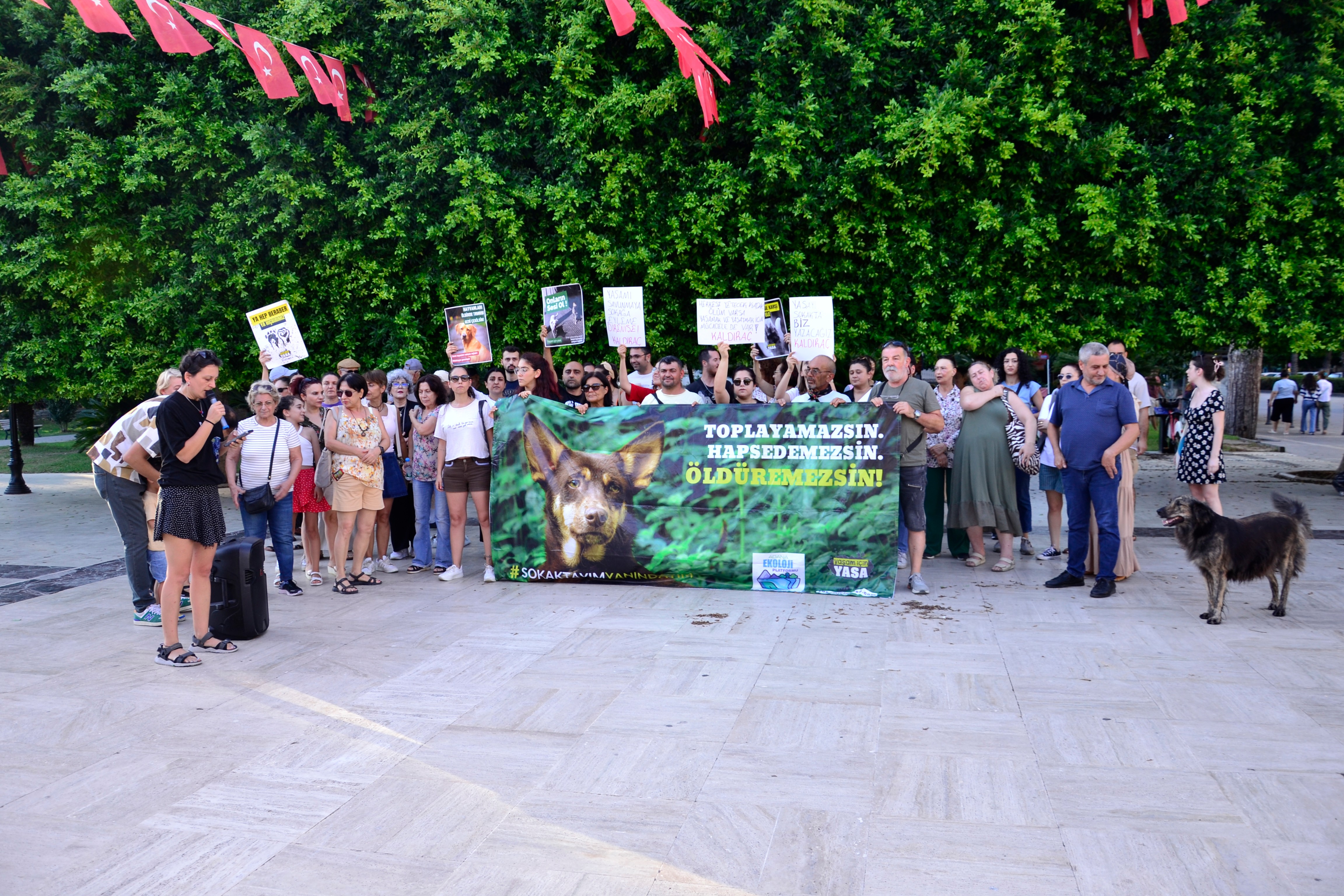 Adana'da sokak hayvanları yasasına karşı açıklama yapıldı