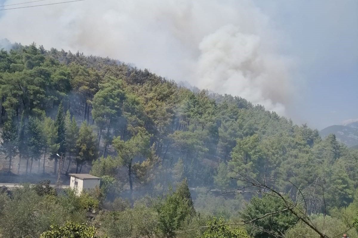 Antalya Serik'te çıkan orman yangını.