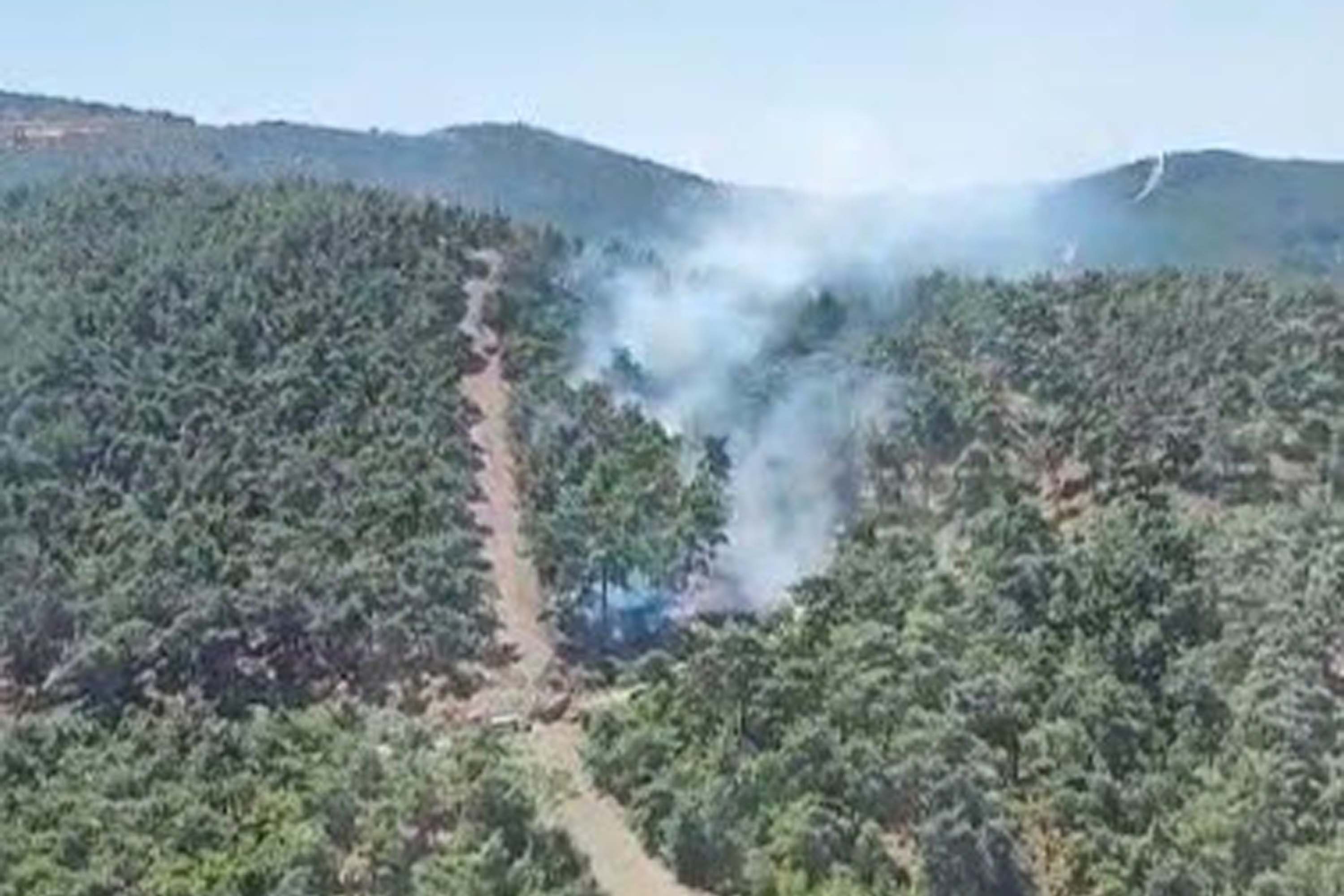 Manisa'da orman yangını 