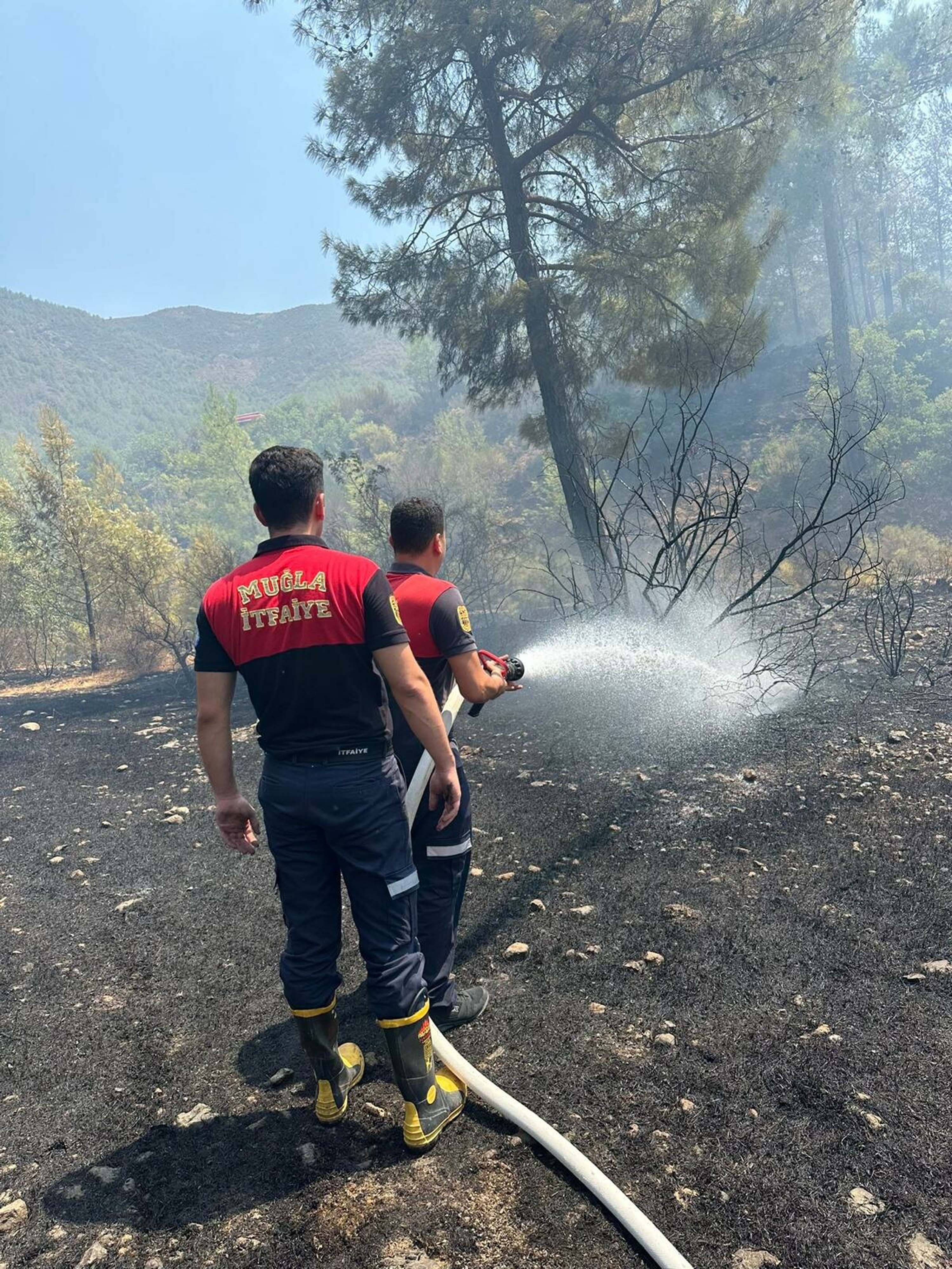 Marmaris'te orman yangını