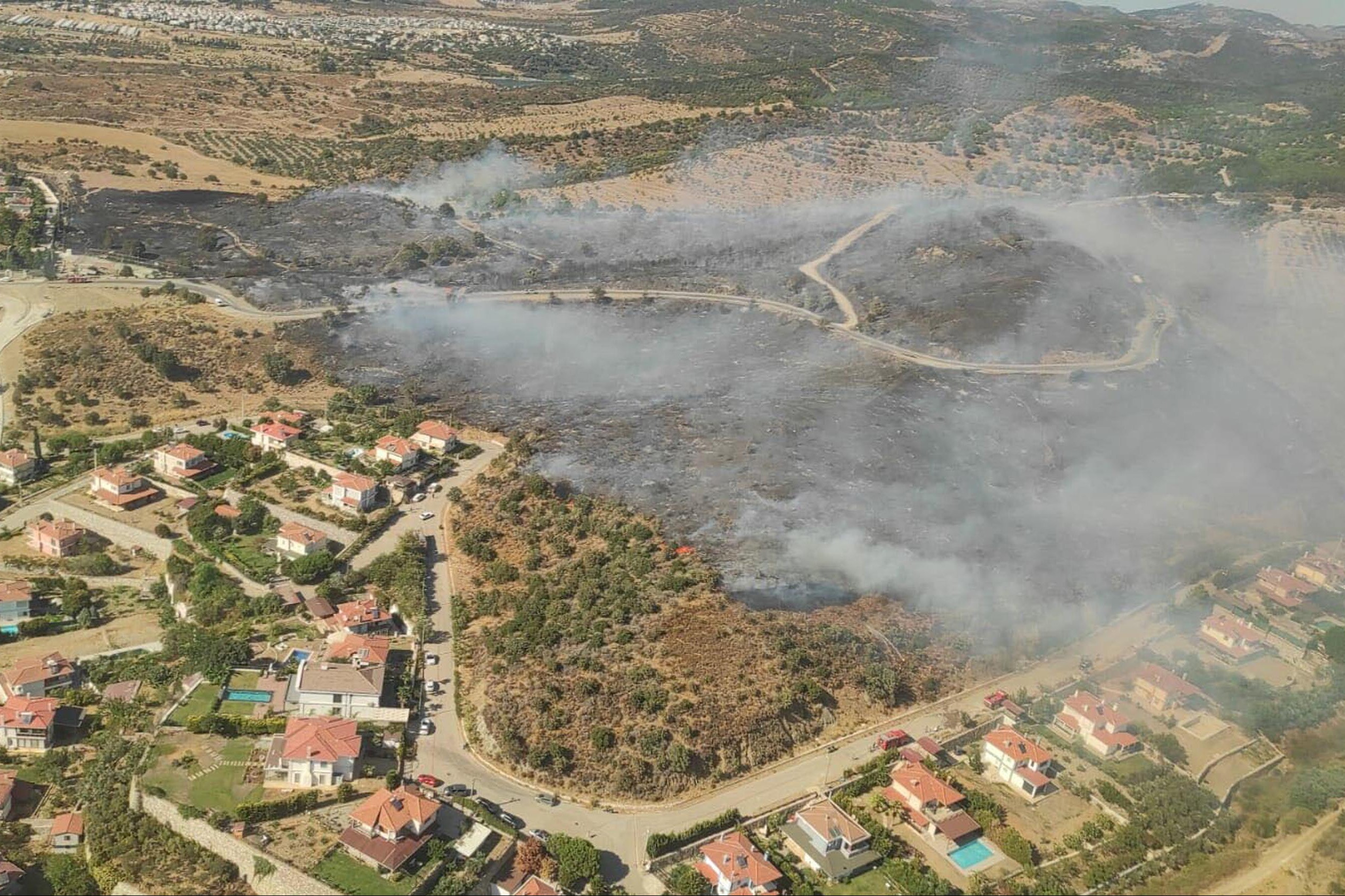 İzmir Urla'da orman yangını 