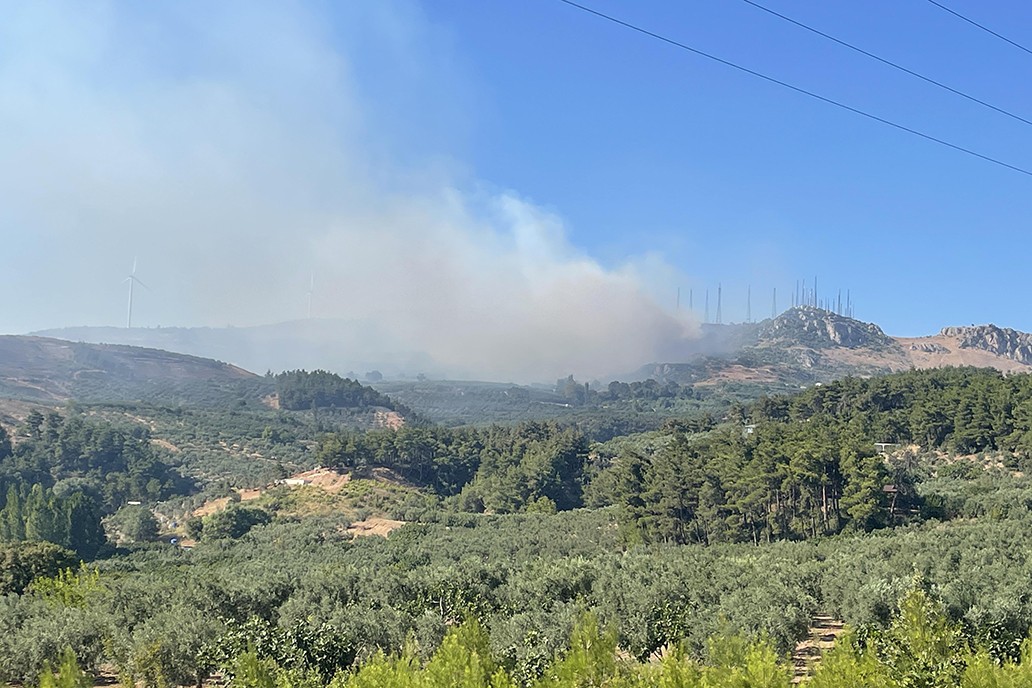 Bursa'da orman yangını