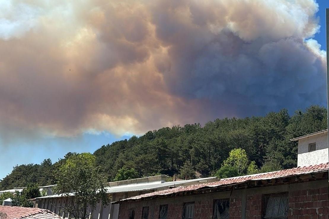 Bolu Mudurnu'da orman yangını