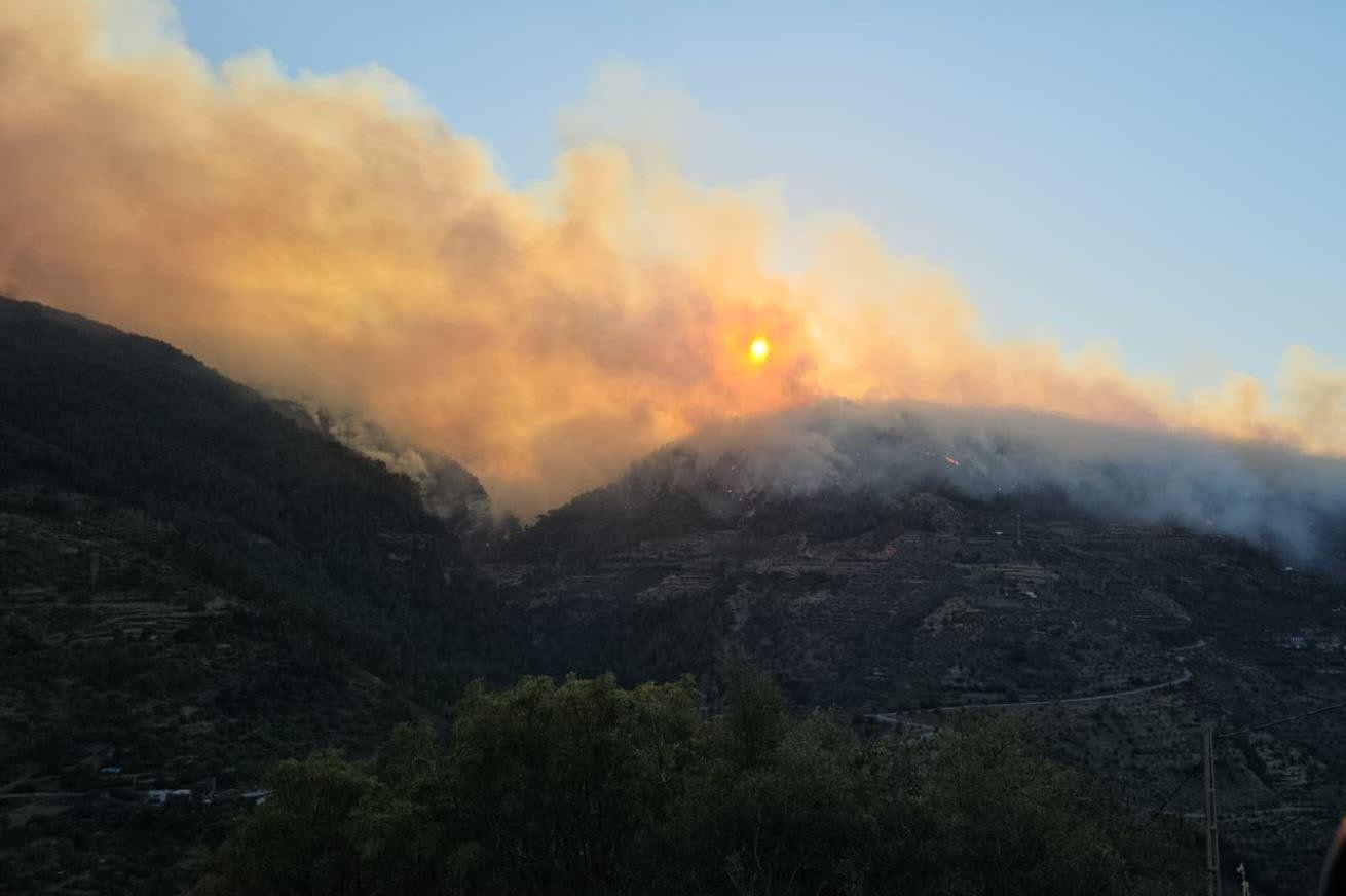 Manisa Gördes'te orman yangını