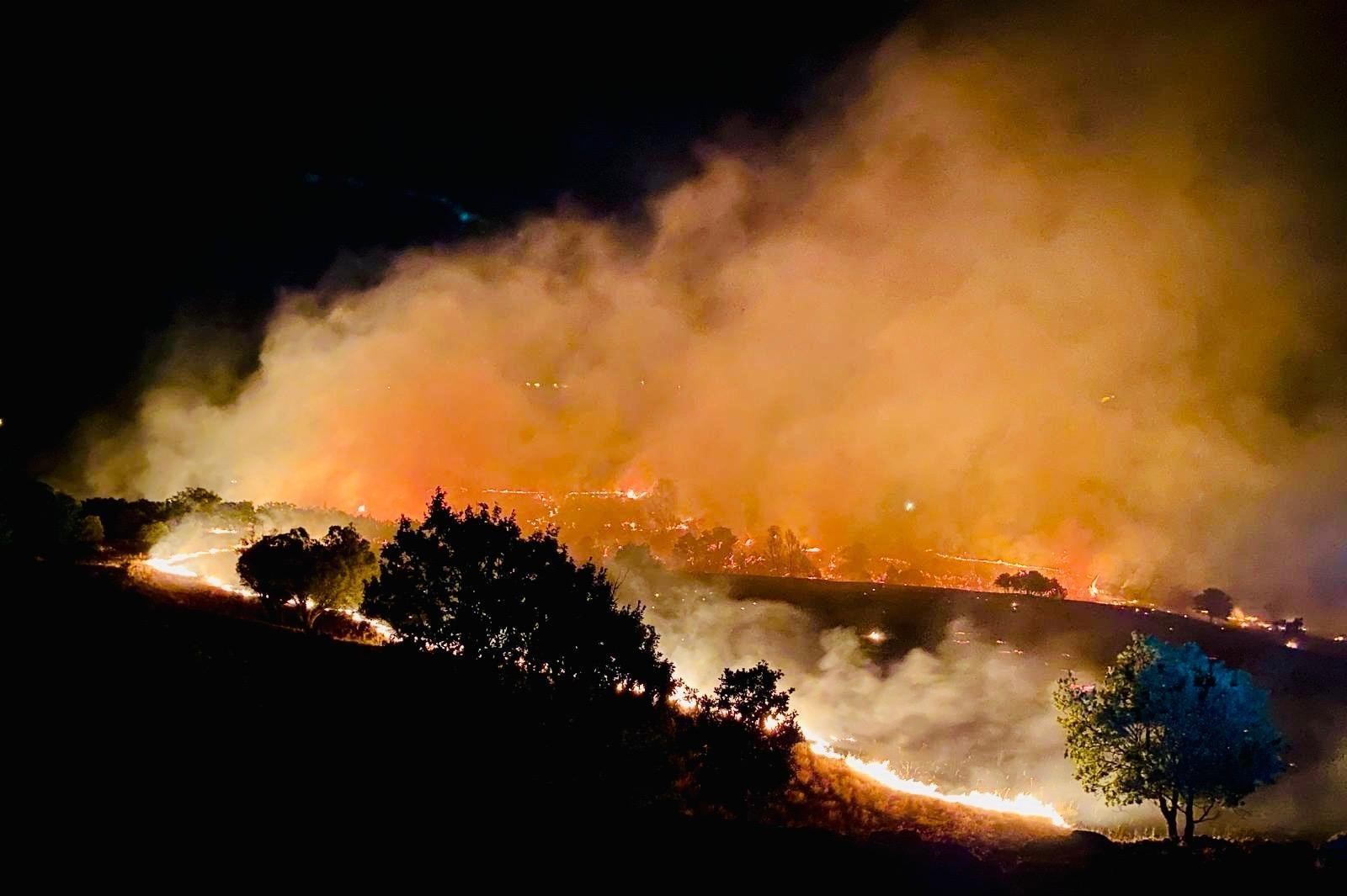 Dersim'de orman yangını