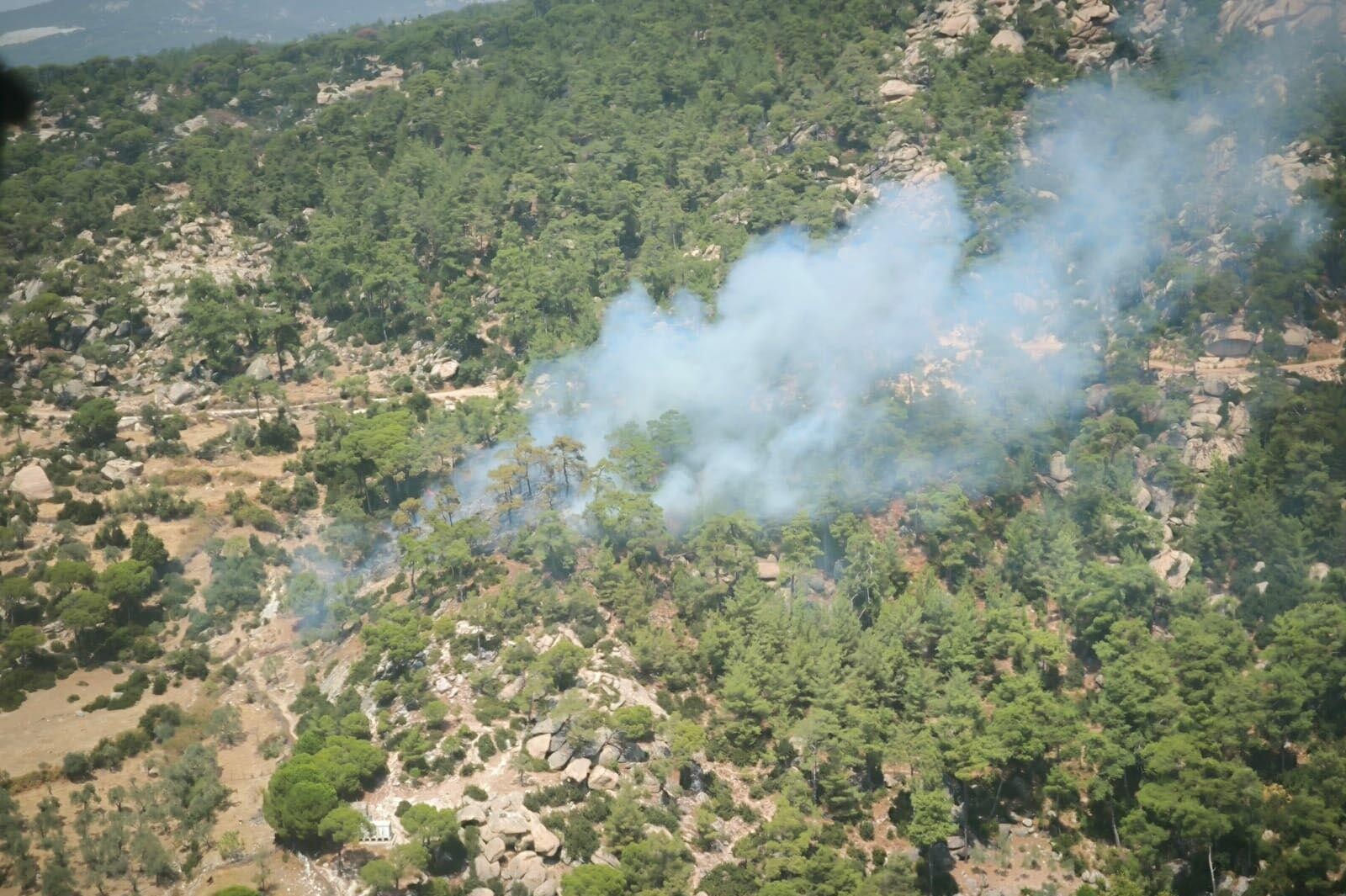 Muğla Yatağan'da orman yangını