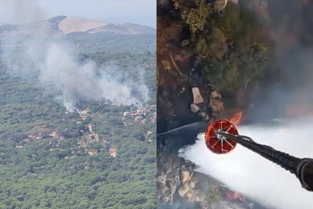 İzmir Bergama'da çamlıkta çıkan yangın kontrol altına alındı