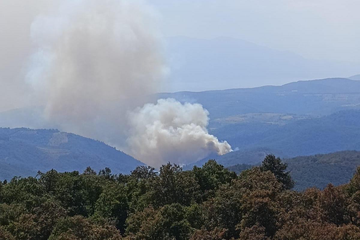 Bursa İznik'te orman yangını