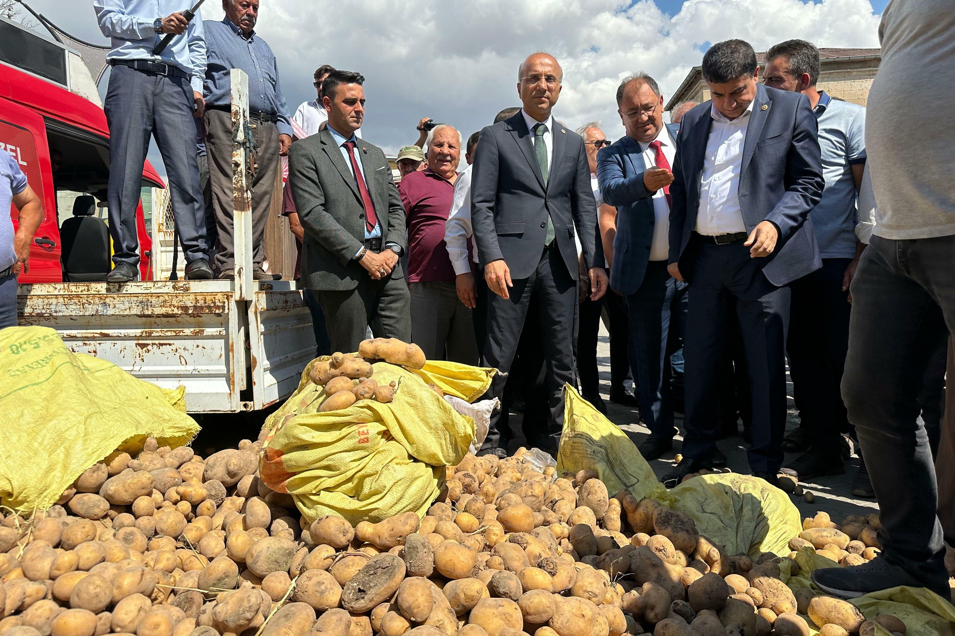 yere dökülen patatesler ve etrafında insanlar