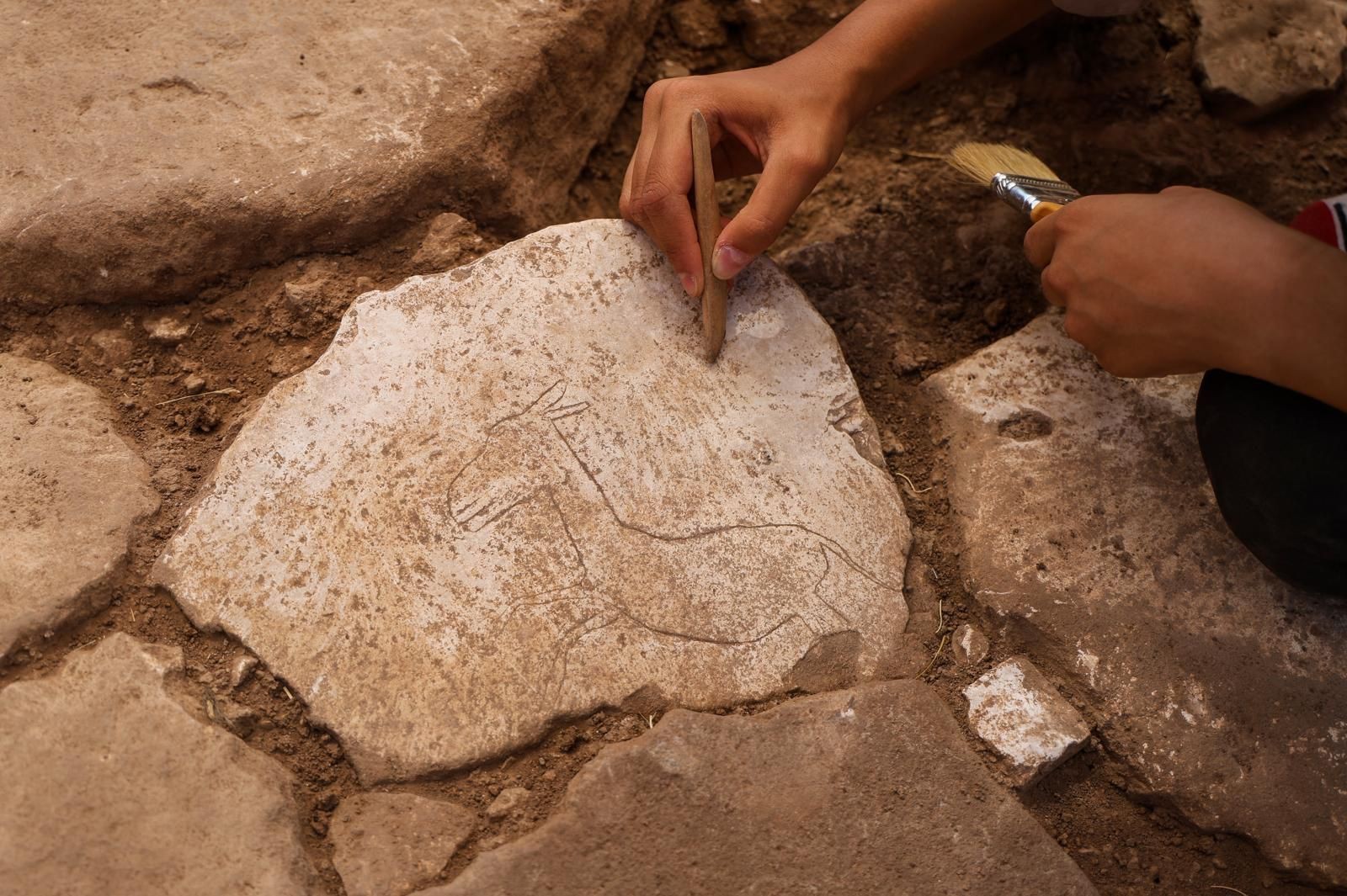 Karahantepe’de yaban eşeği figürü bulundu