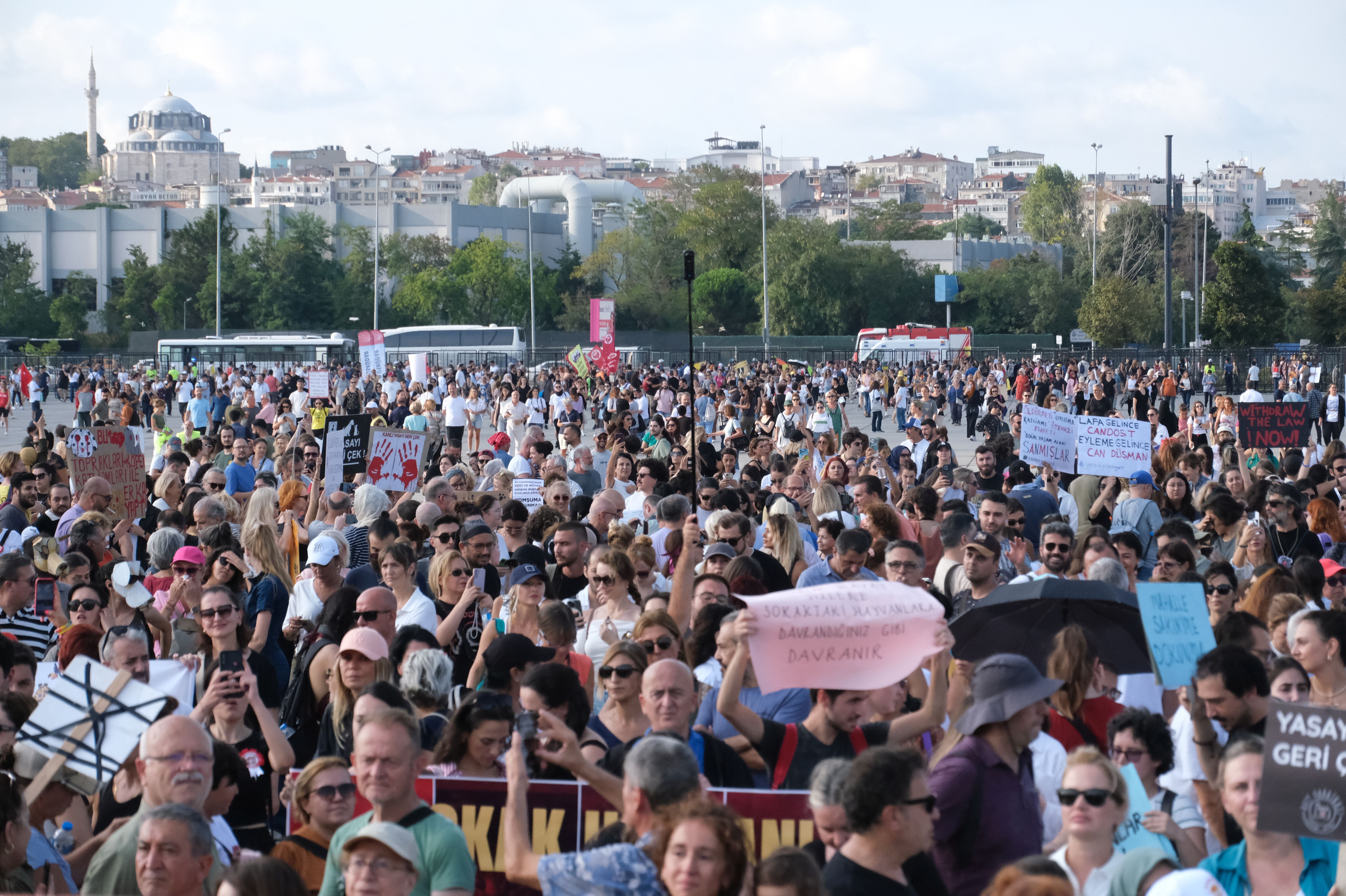 Hayvanları katledilmesine karşı düzenlenen miting