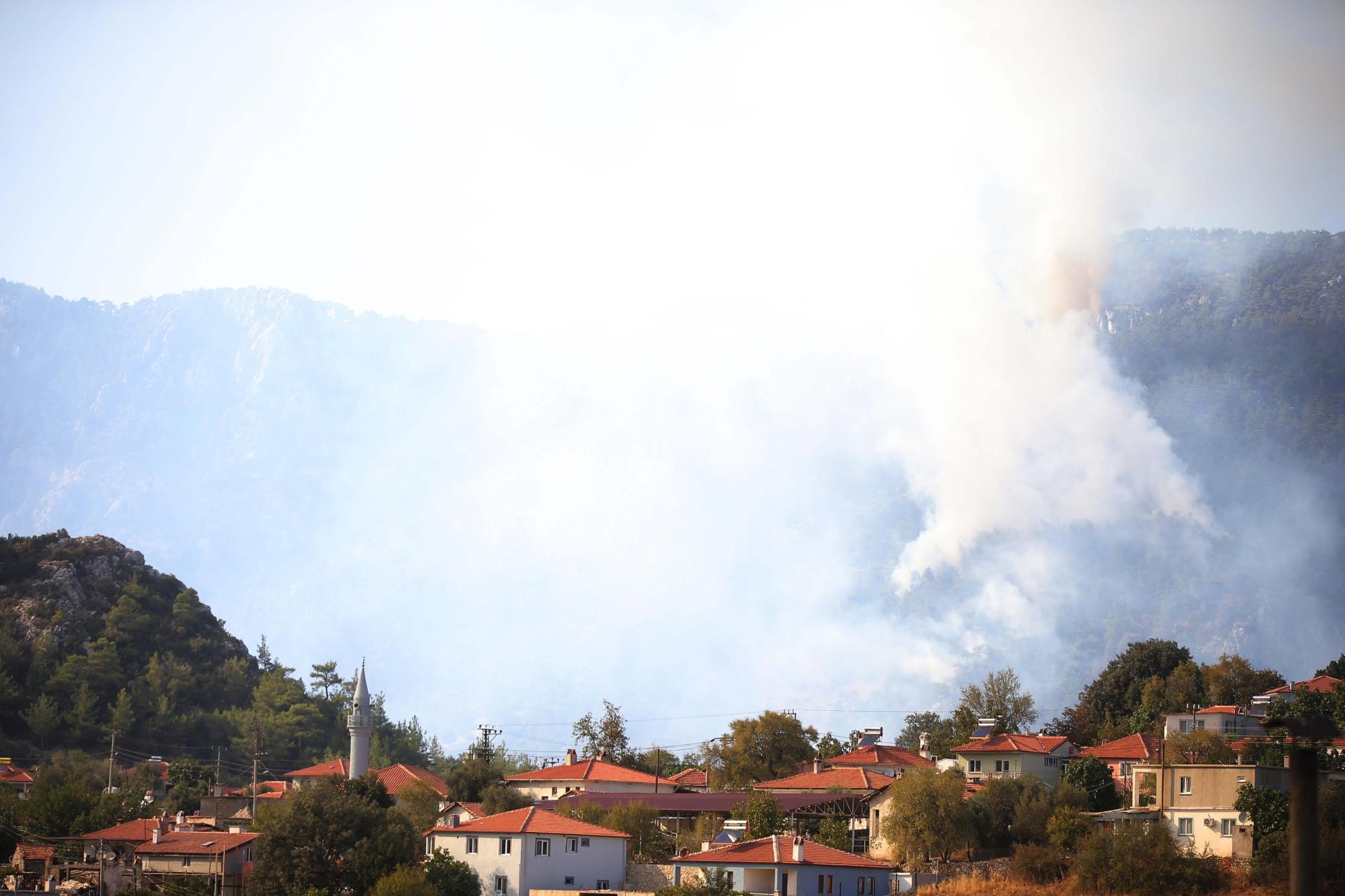 Muğla Menteşe'de orman yangını