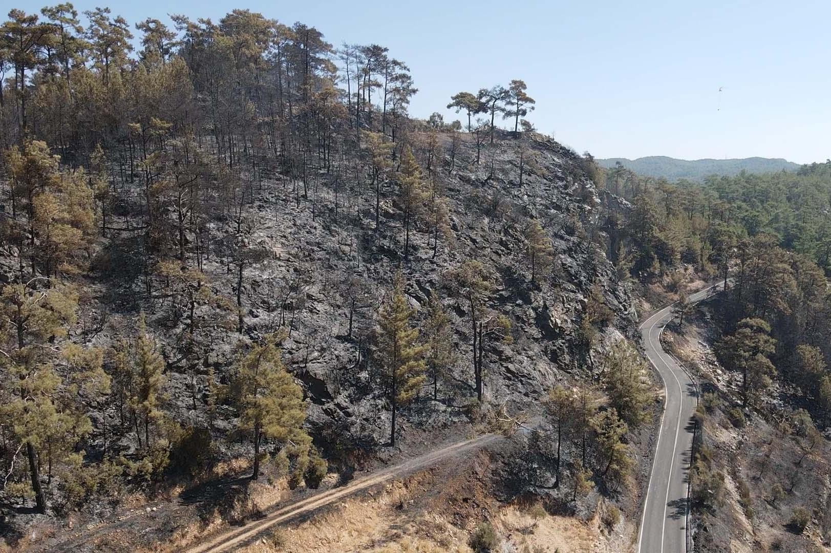 Muğla Menteşe'de kontrol altına alınan yangın