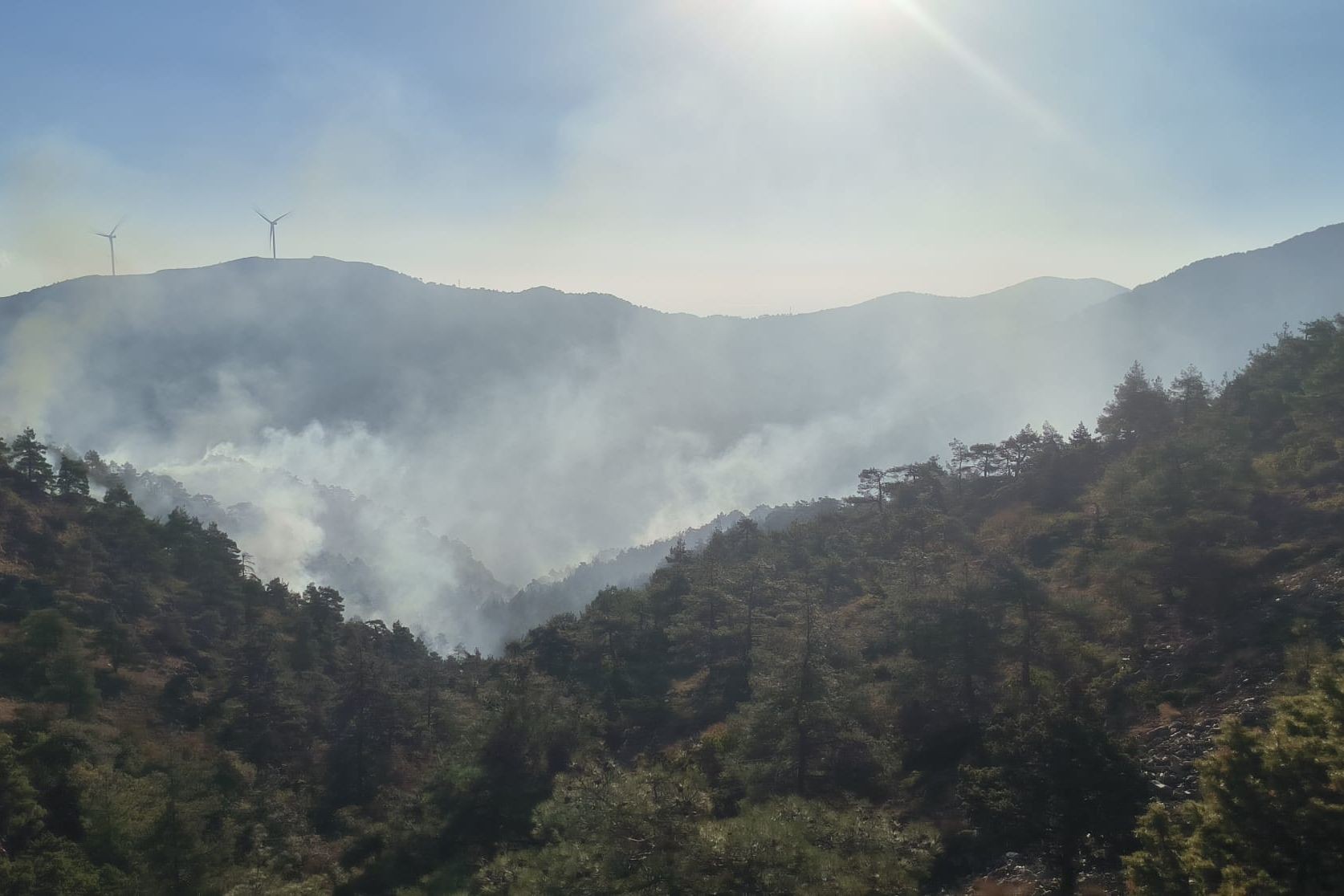 Hatay'da çıkan orman yangını.