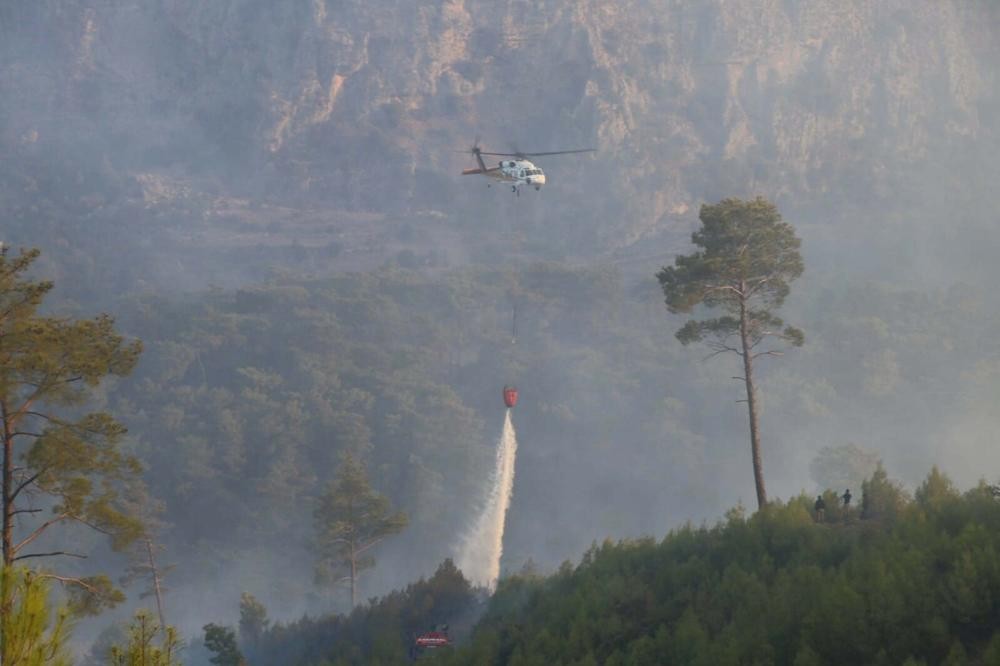 Muğla'da orman yangını