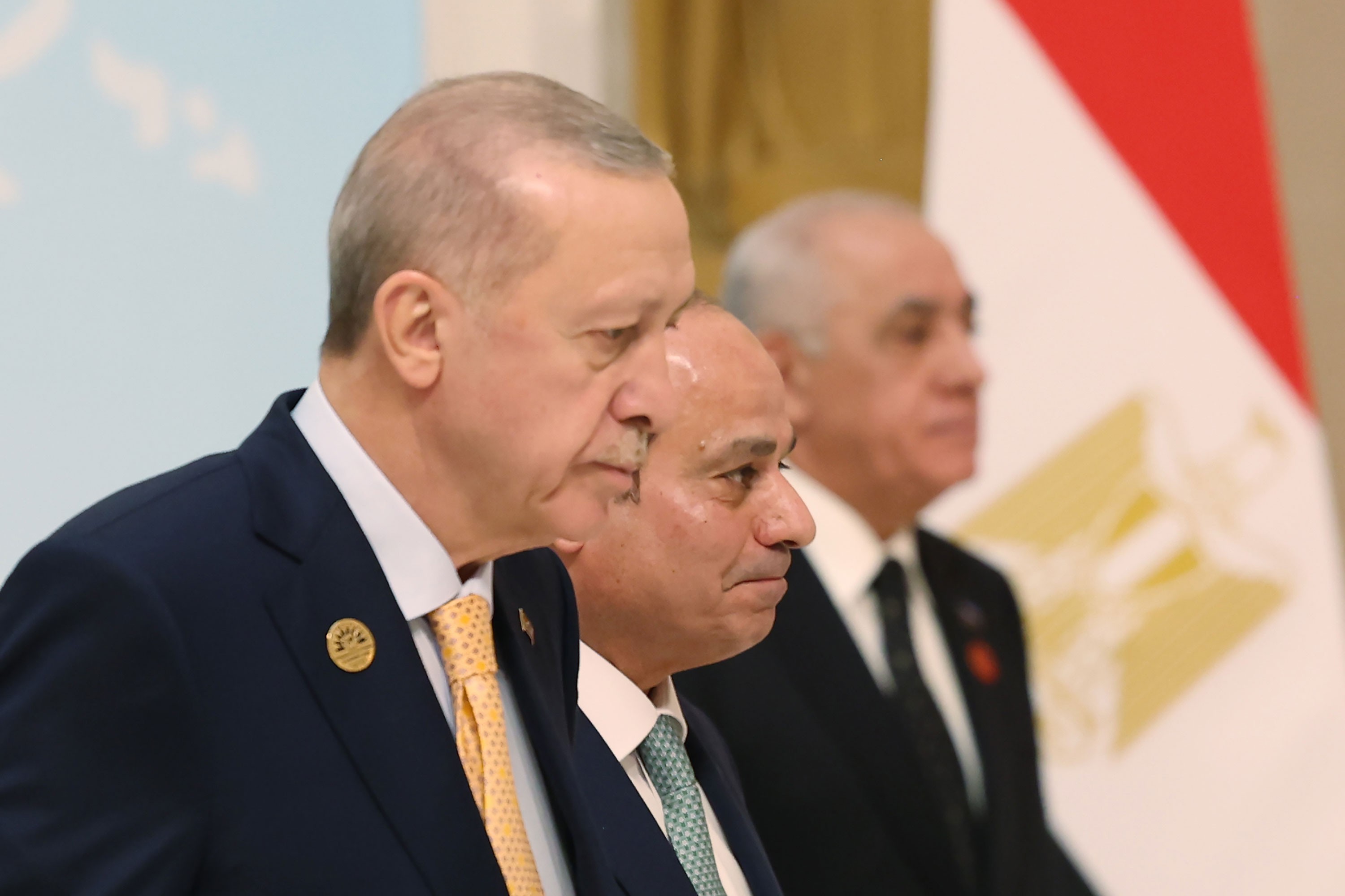 Erdoğan Kahire'deki D-8 Zirvesi'nde Abdülfettah es-Sisi ile birlikte