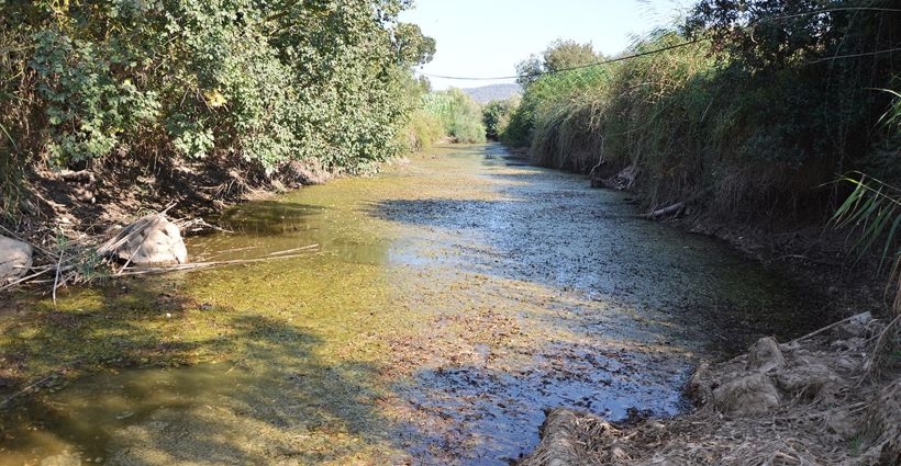 Mazı Çayı kuruyor, kuşlar yok oluyor