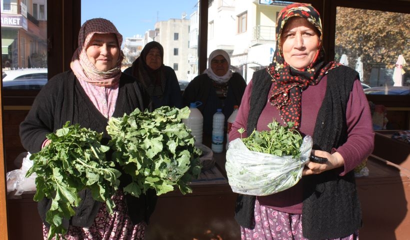 Turp otunun mevsimi geldi