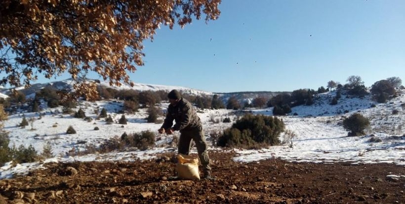 Kurda kuşa 500 kilo yaşam desteği