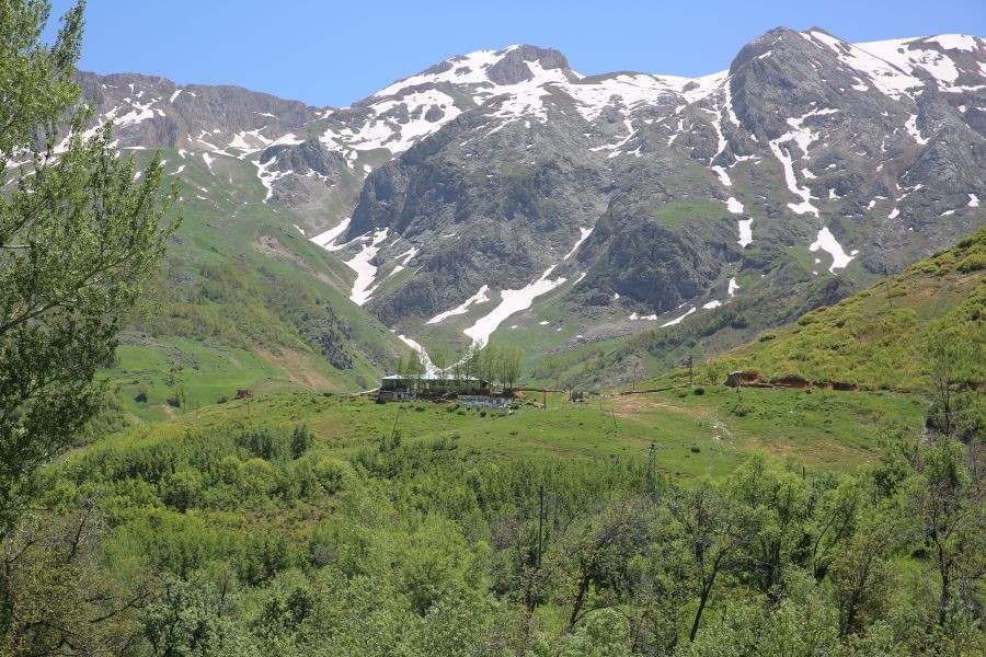 Dersim mayın tarlası