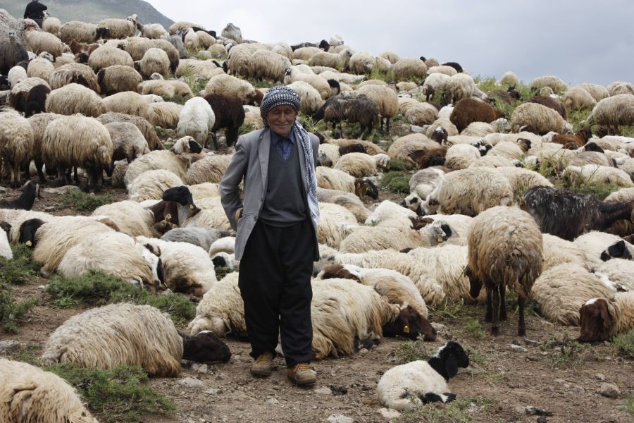 Her yer yasak, bir tek Berçelan kaldı