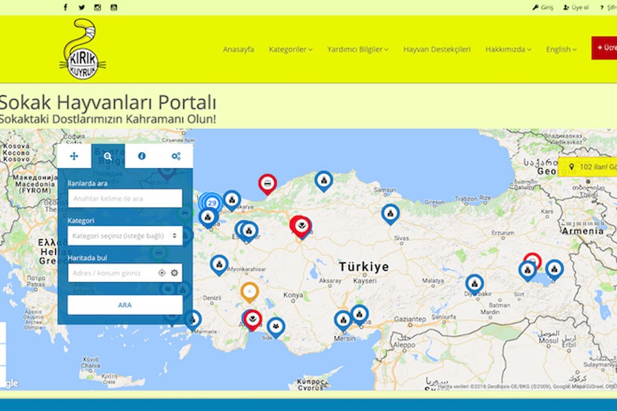 ‘Sokak hayvanlarına yardımın adresi KirikKuyruk.com