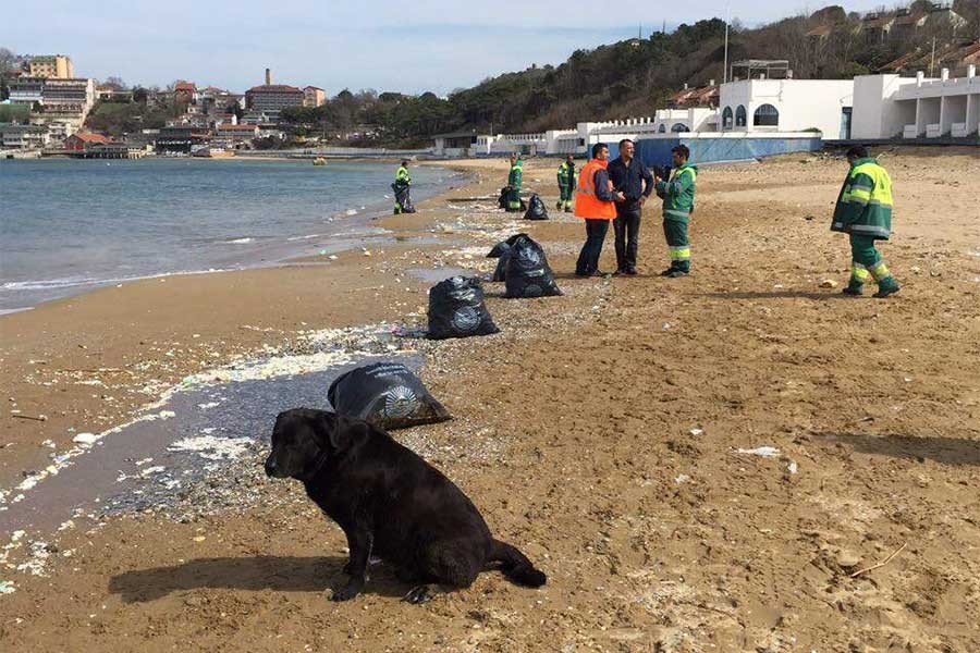 Kilyos’ta 10 ton atık toplandı, molozlar hâlâ kıyıya vuruyor