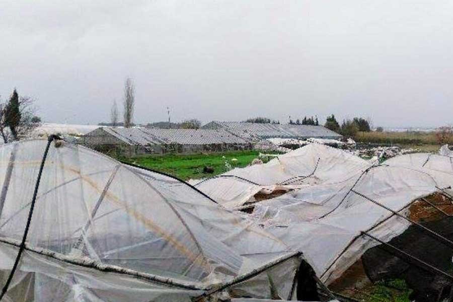 Serada üretim artarken maliyetler düşürülmeli