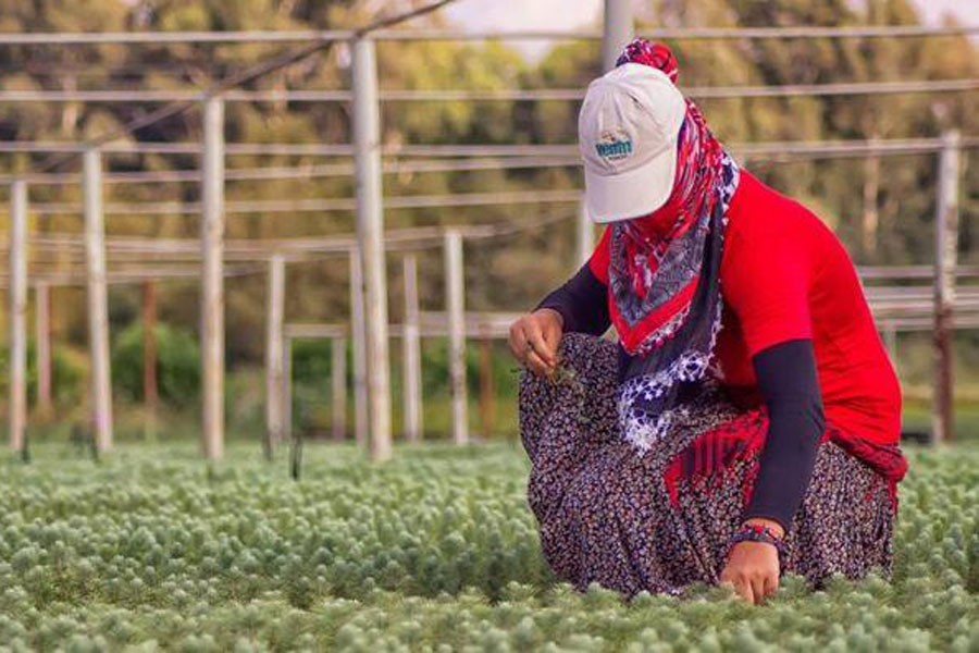 Yemekten zehirlenen tarım işçileri hastaneye kaldırdı