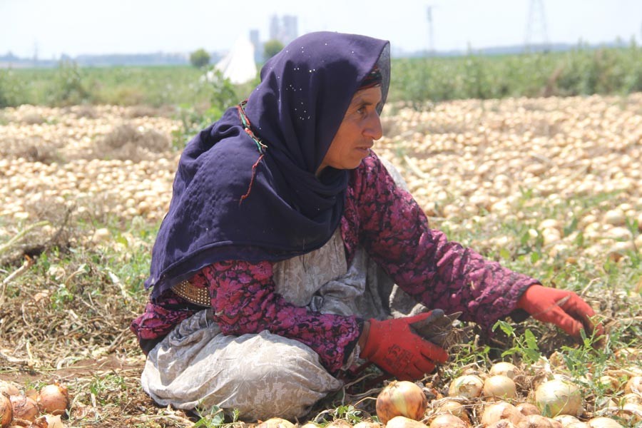 Mevsimlik tarım işçisi kadınların zor yaşamı