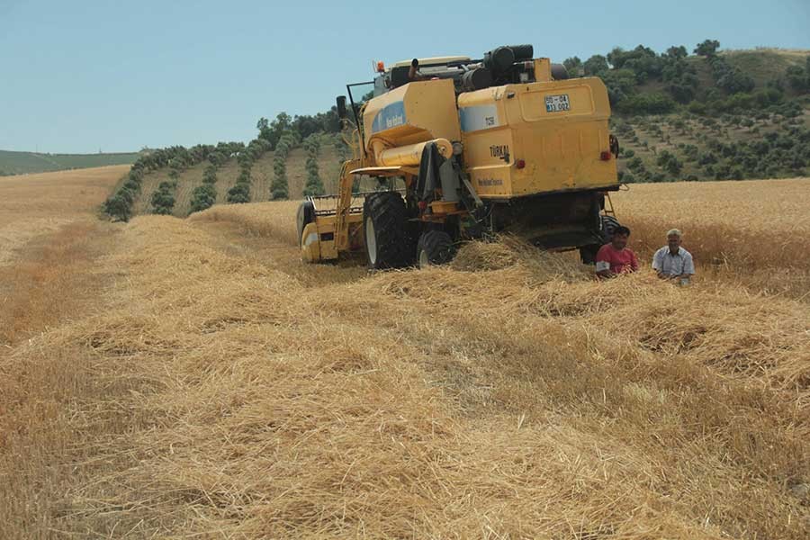 Bakanlığa çağrı: Buğday fiyatları revize edilmelidir