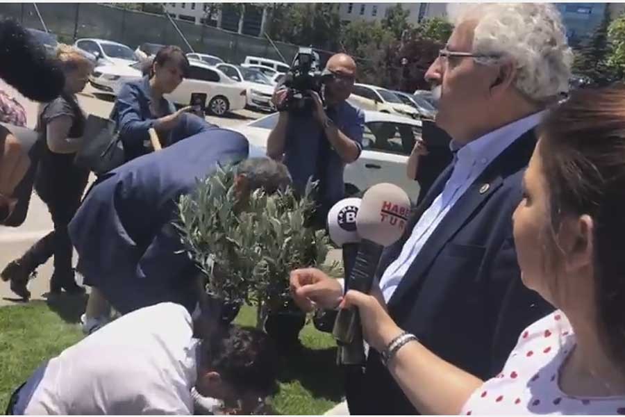 CHP’li vekiller meclis bahçesine zeytin dikti