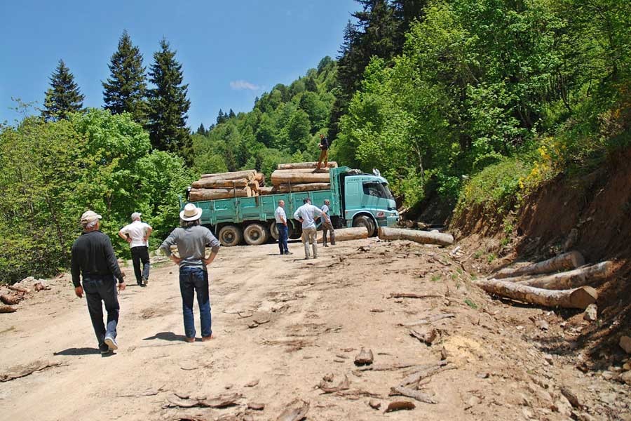 Bakan Eroğlu Yeşil Yol’un geçtiği bölgede ‘orman yok’ dedi