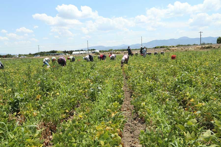 Çoruk Ovası’nda imar oyunları